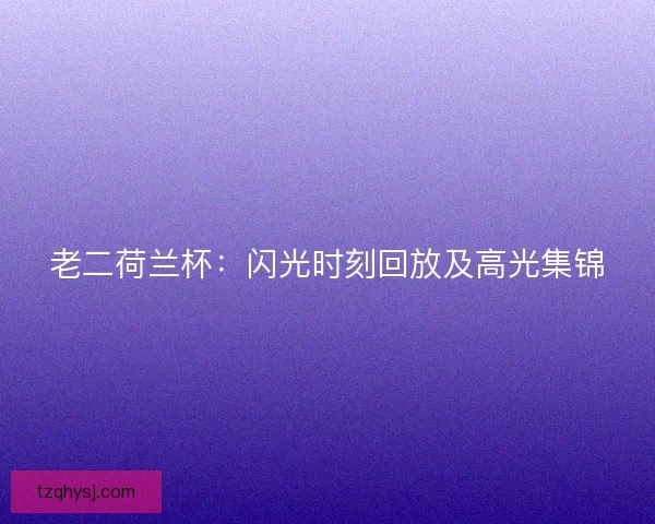 老二荷兰杯:闪光时刻回放及高光集锦 老二荷兰杯:闪光时刻回放及高光集锦