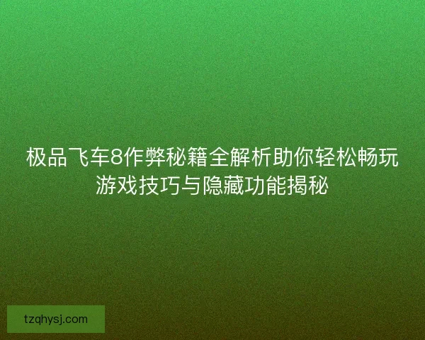 极品飞车8作弊秘籍全解析助你轻松畅玩游戏技巧与隐藏功能揭秘